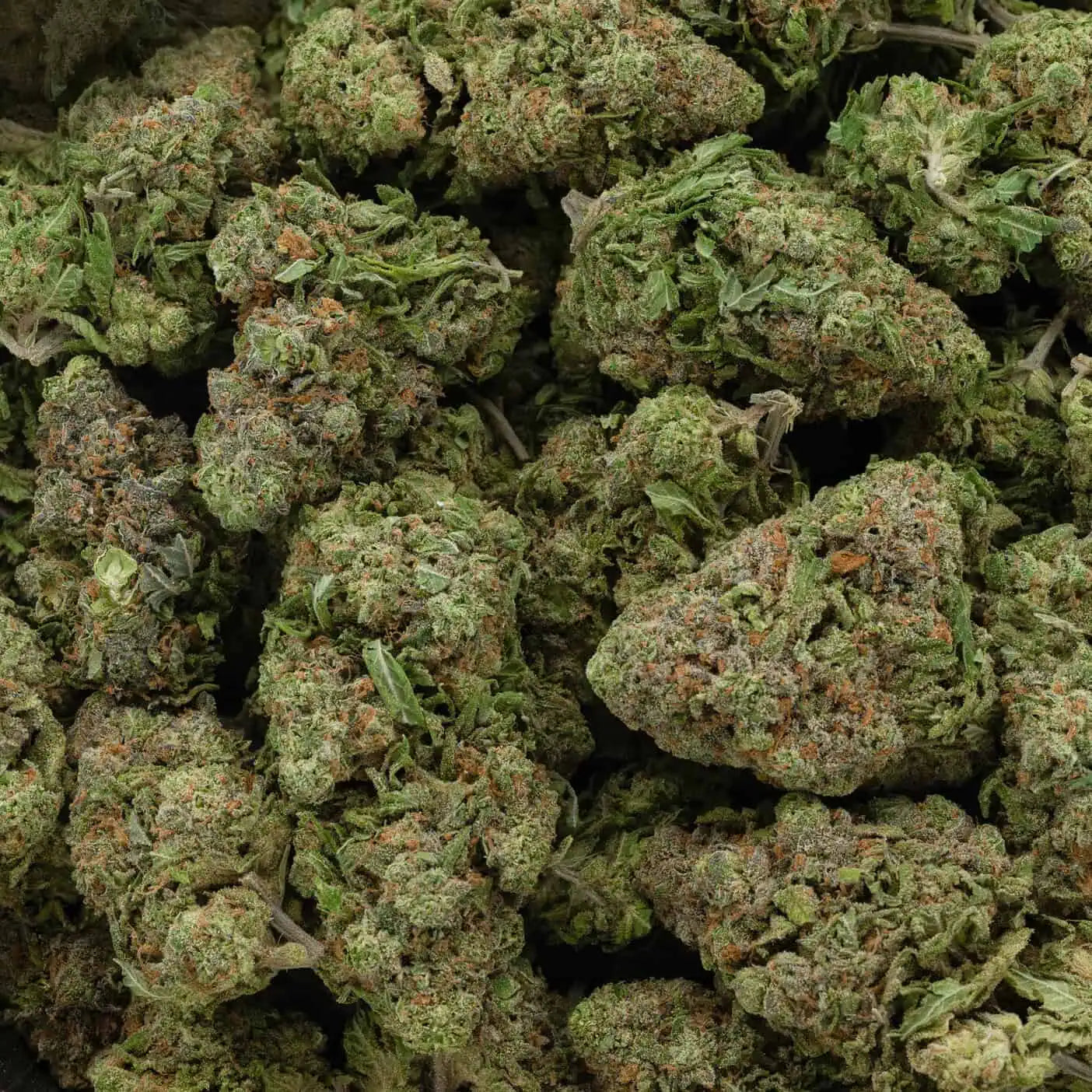 Pineapple Diesel 37% THC | Exotic LSO | Sativa - 7g