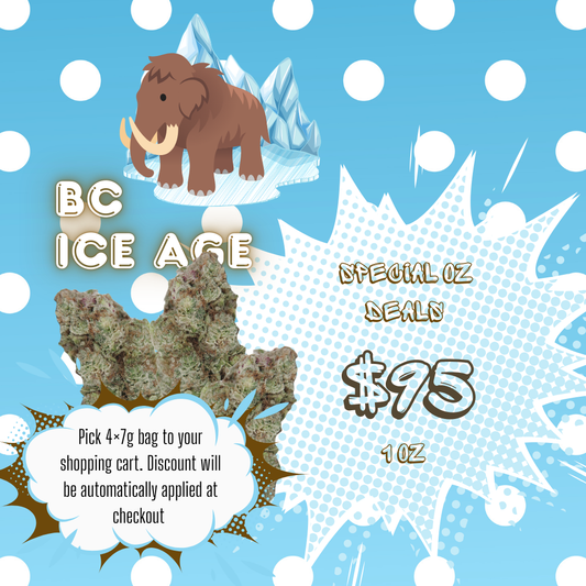 BC  Ice Age 38% THC | Exotic LSO | Hybrid - 7g