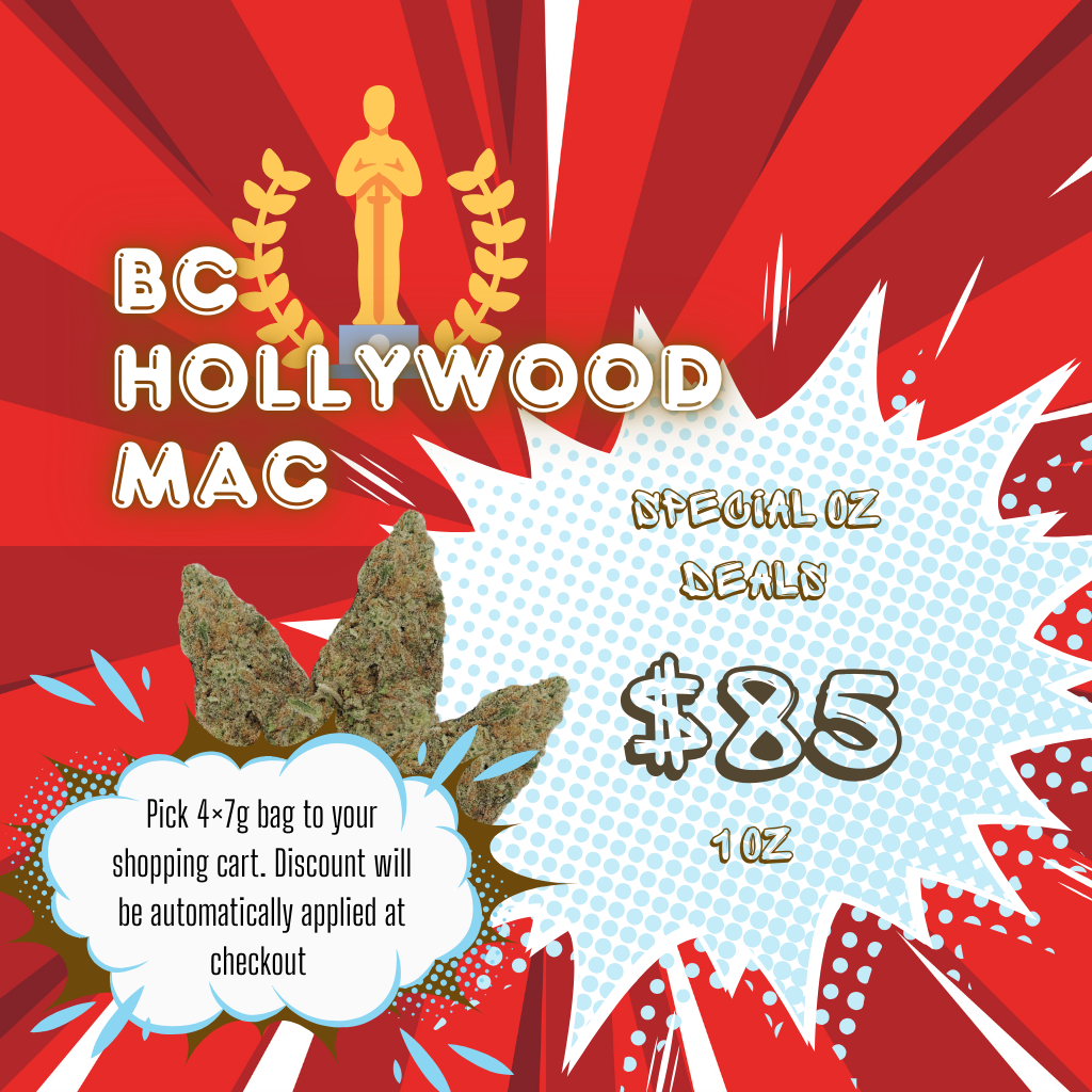 BC Hollywood Mac 37% THC | Exotic LSO | Hybrid - 7g