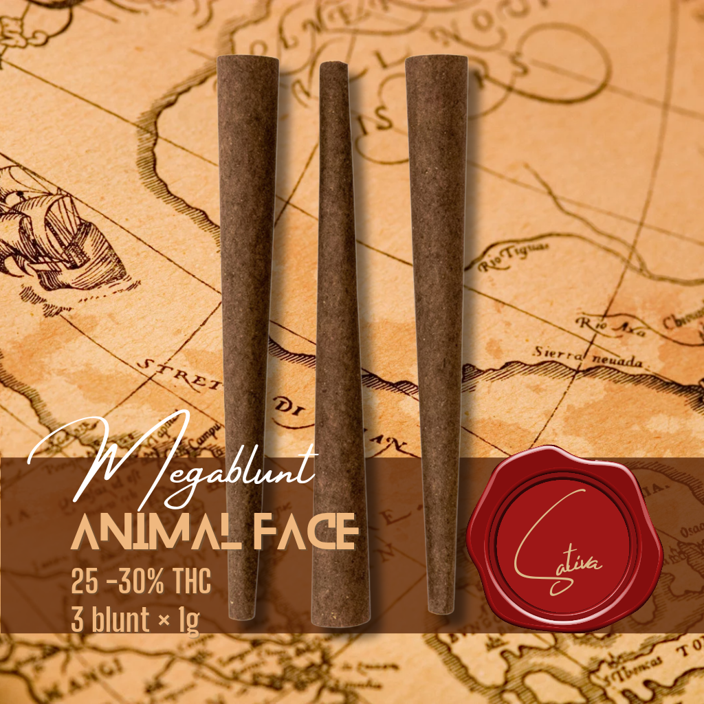 BC Animal Face 29% THC | 3 blunts - regular size