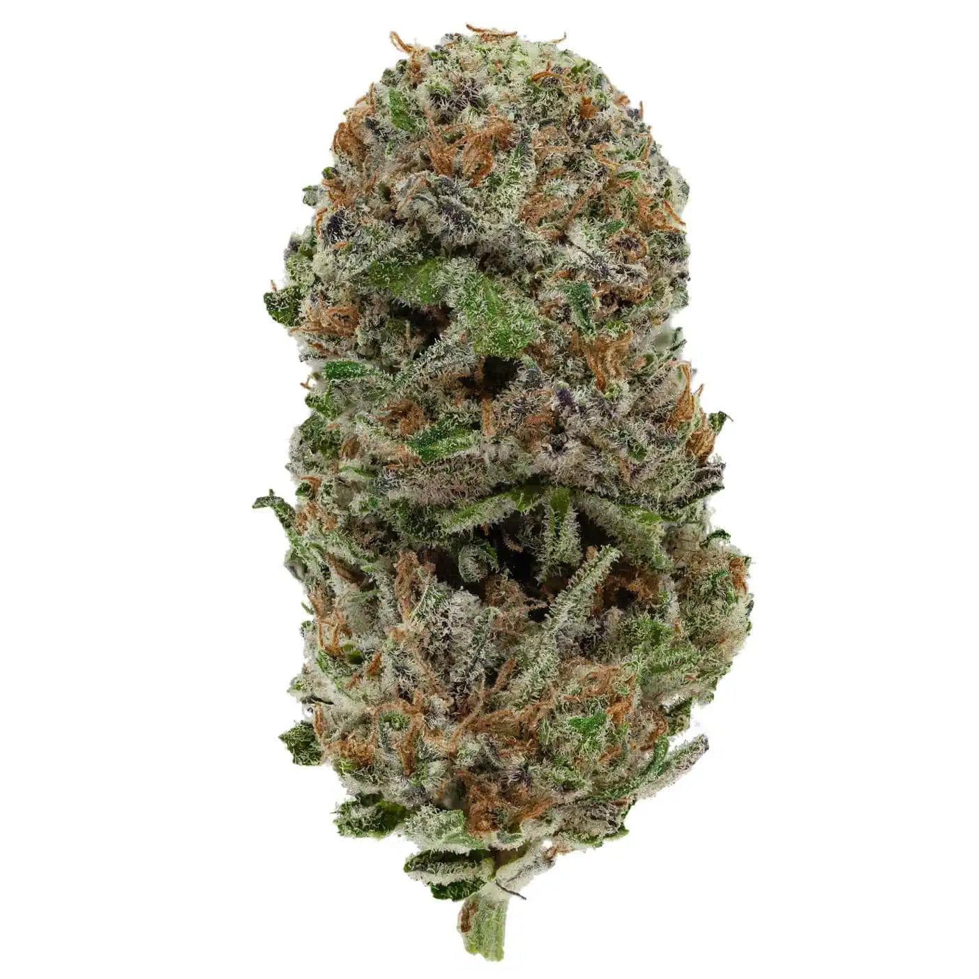 BC Blackberry Haze 38% THC | Exotic LSO | Sativa - 3.5g