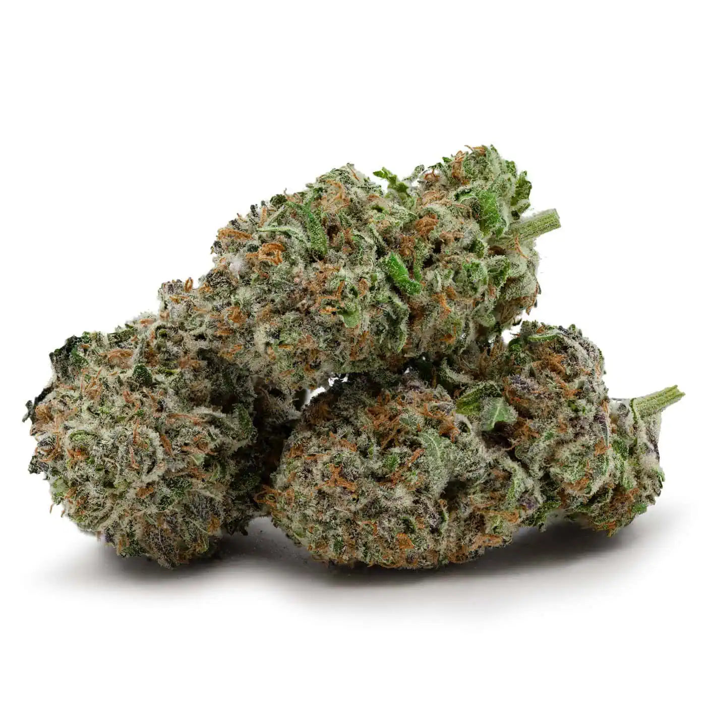 BC Blackberry Haze 38% THC | Exotic LSO | Sativa - 3.5g