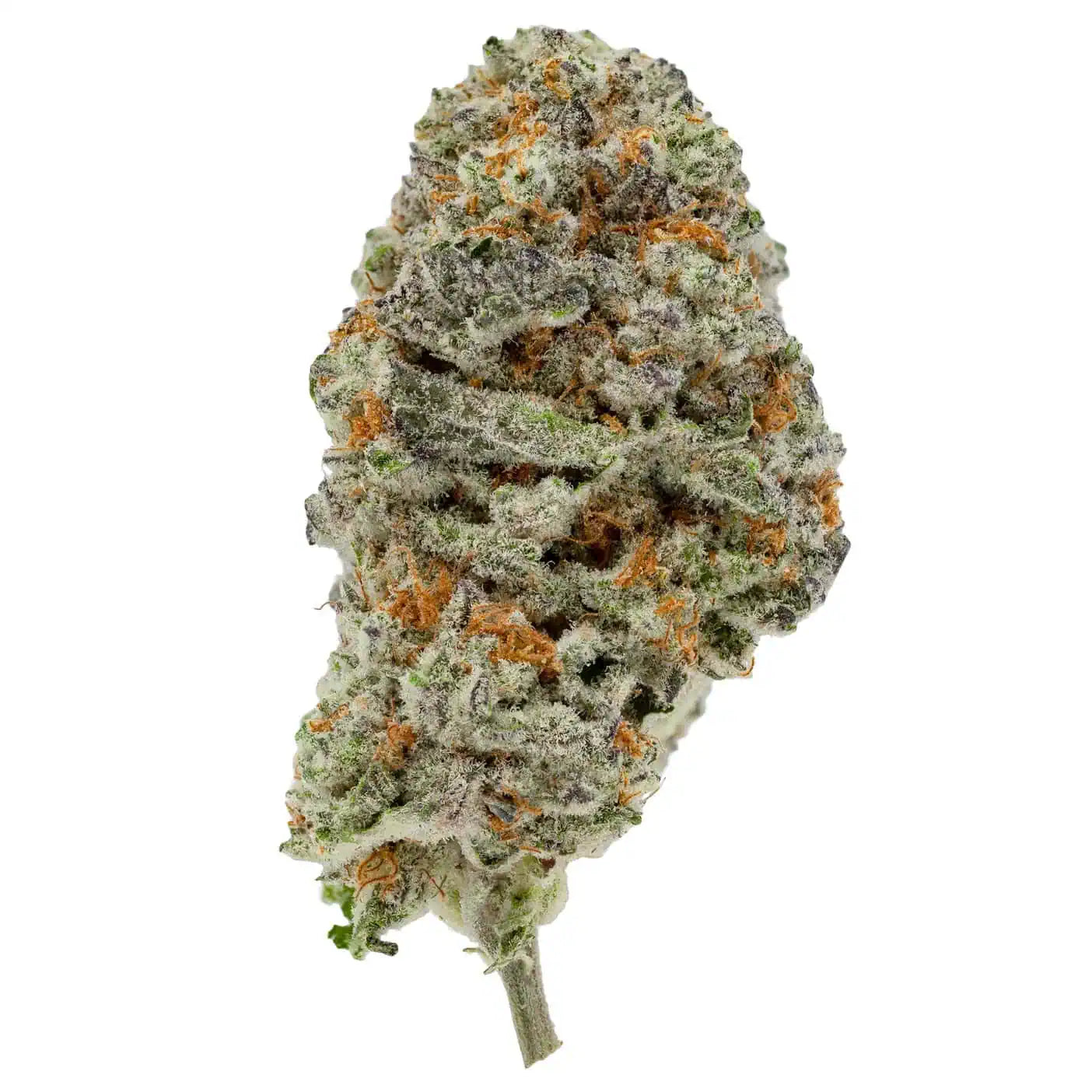 BC Durban Poison 38% THC | Exotic LSO | Sativa - 3.5g