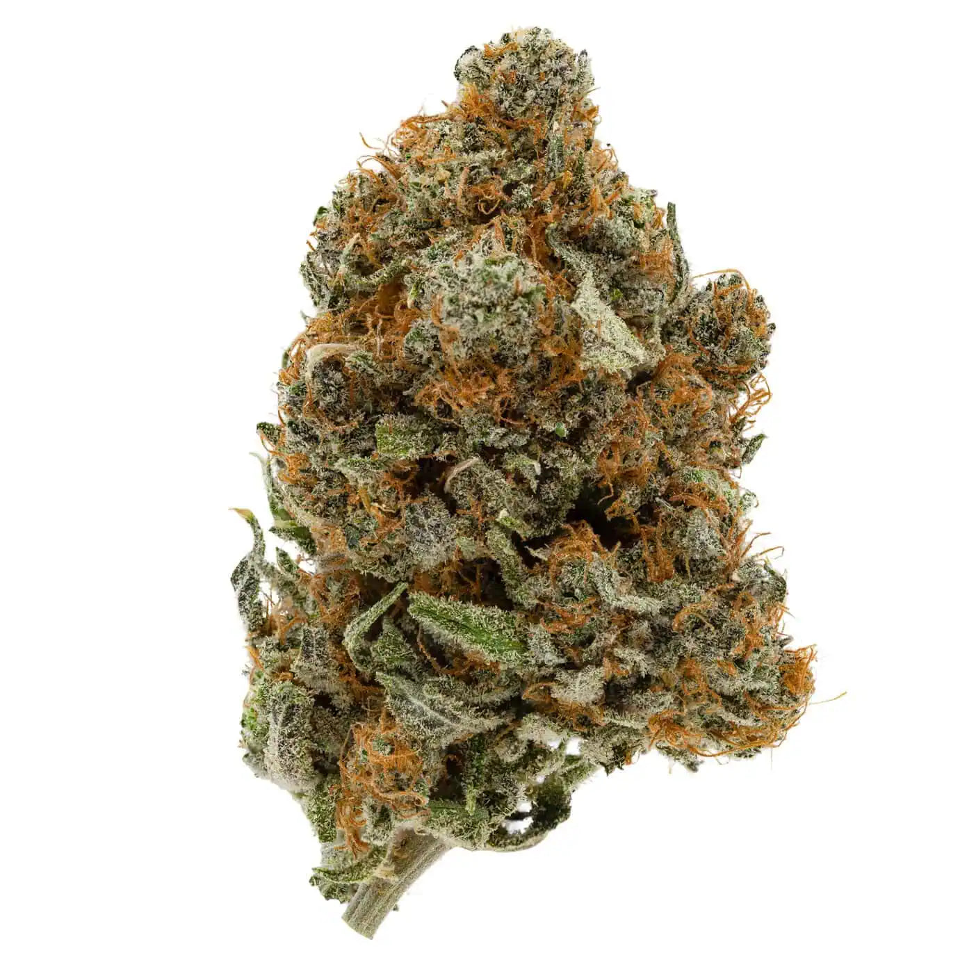 Acapulco Gold 38% THC | Exotic LSO | Sativa - 7g