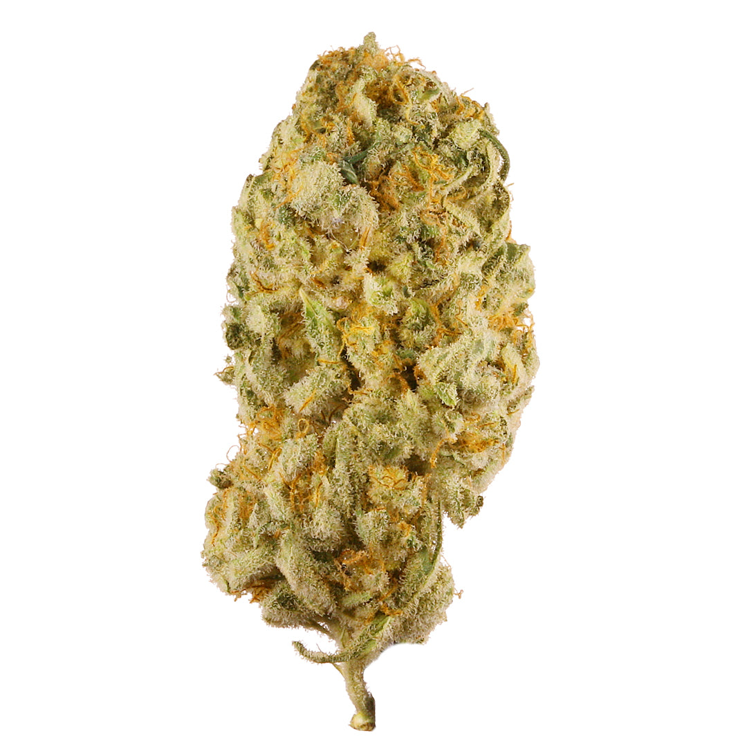 Jack Herer 28% THC | Popcorn | Sativa - 28g