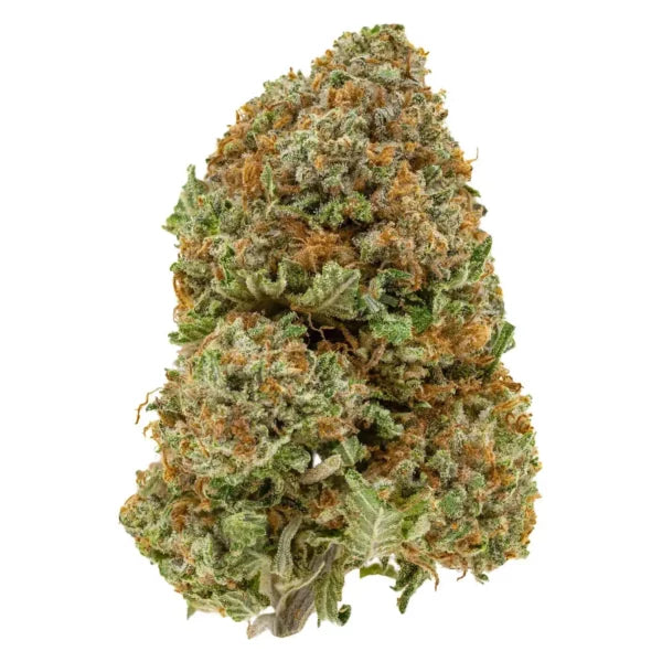 BC Pink Kush 38% THC | Exotic LSO | Indica