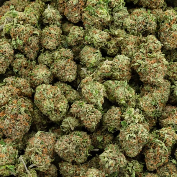 BC Pink Kush 38% THC | Exotic LSO | Indica