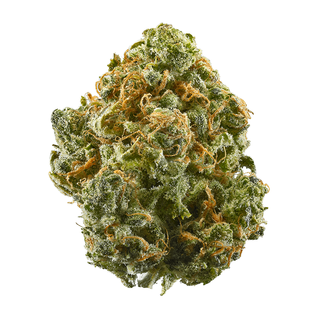 Guava 31% THC | Popcorn | Sativa - 28g