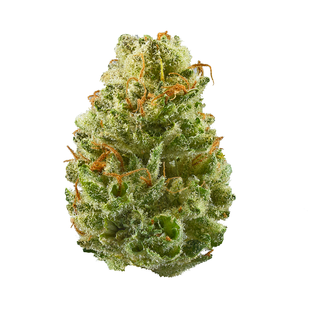 Strawberry Cough 29% THC | Popcorn | Sativa - 28g