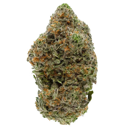 West Coast Diesel 37% THC | Exotic LSO | Sativa - 7g