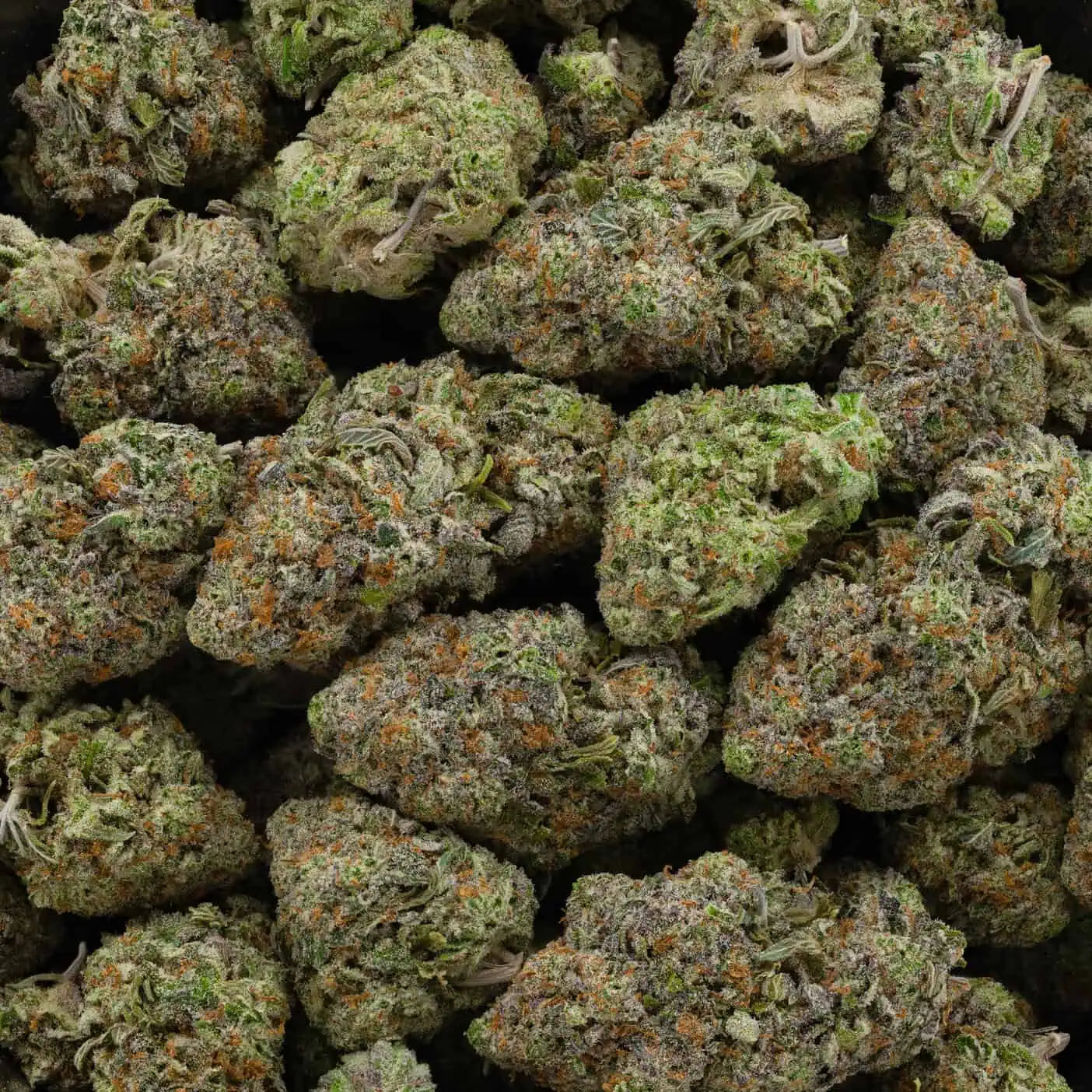 West Coast Diesel 37% THC | Exotic LSO | Sativa - 7g