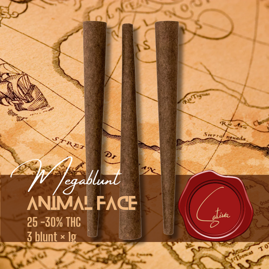 Animal Face | 3 blunts - regular size