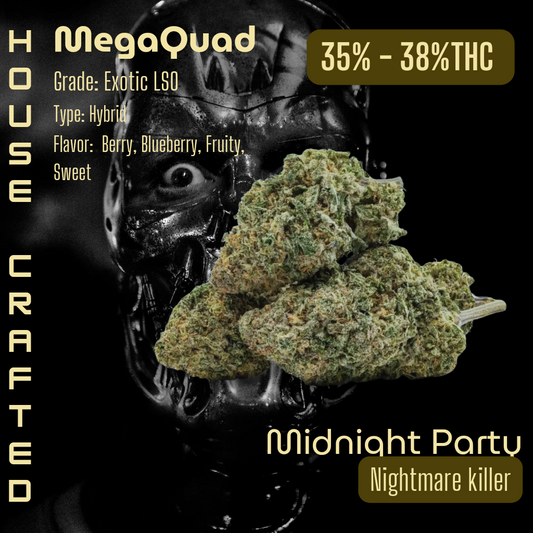 Midnight Party | Exotic LSO