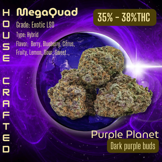 Purple Planet | Exotic LSO