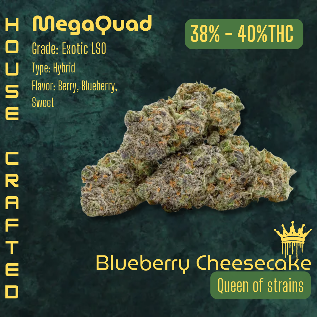 Blueberry Cheesecake | Exotic LSO