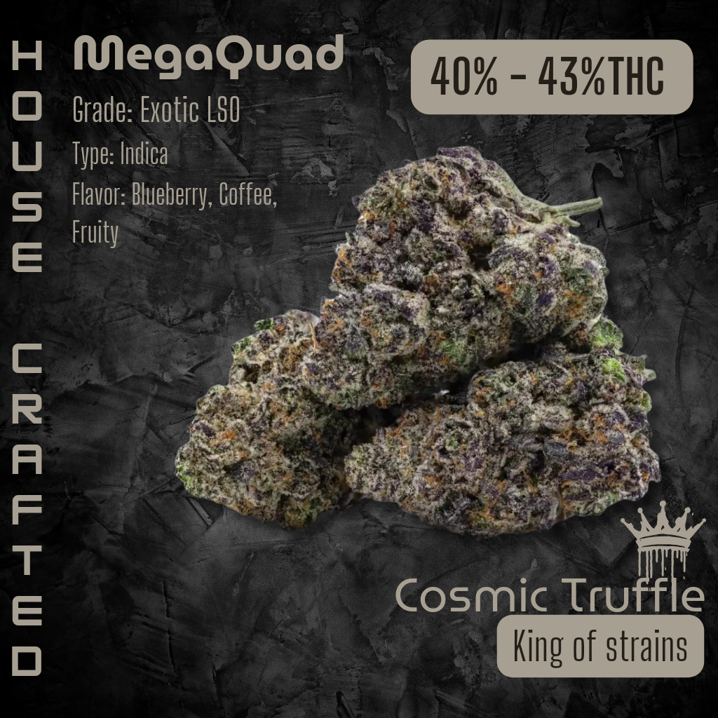 Cosmic Truffle | Exotic LSO