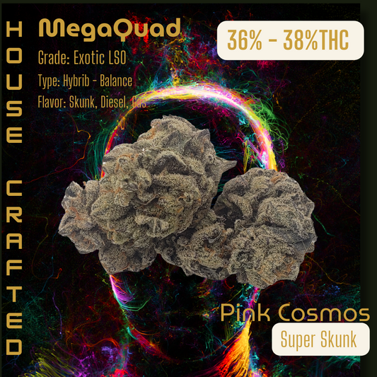 Pink Cosmos | Exotic LSO