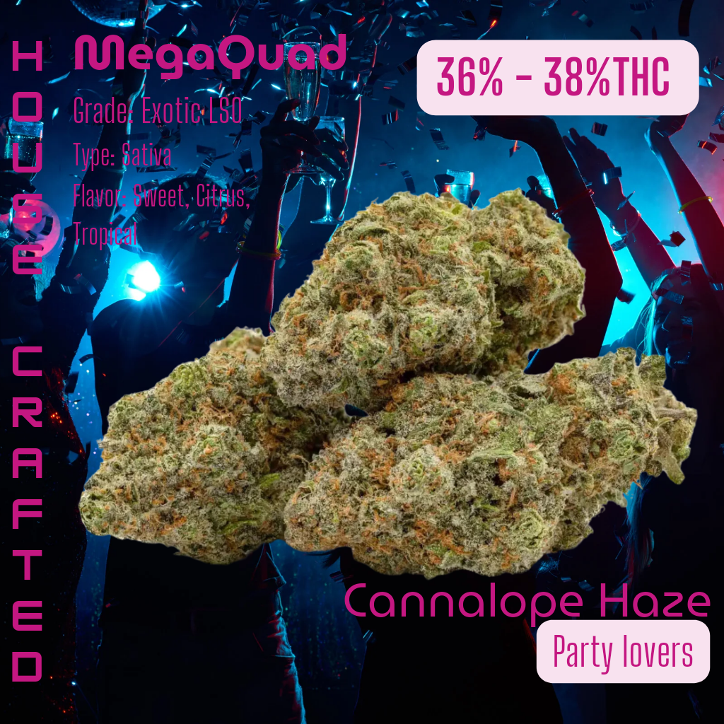 Cannalope Haze | Exotic LSO