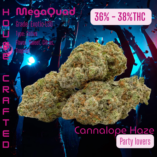 Cannalope Haze | Exotic LSO