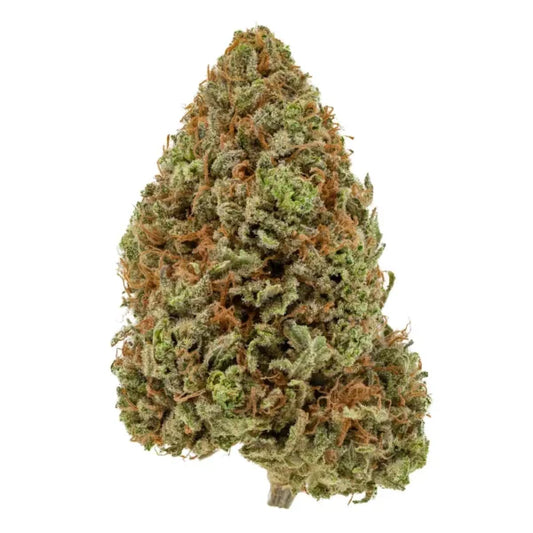 BC Banana Cream 35% THC | Exotic LSO | Indica