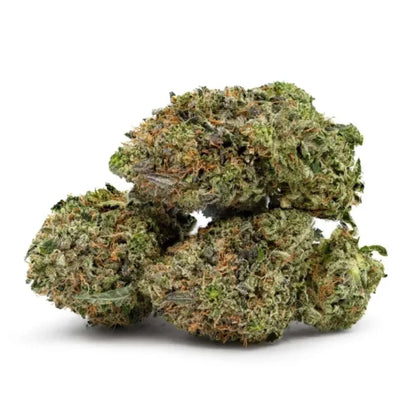 BC God's Bubba 38% THC | Exotic LSO | Sativa