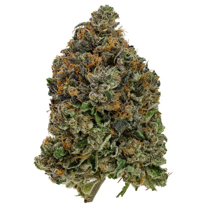 Godfather OG 38% THC | Exotic LSO | Indica - 7g