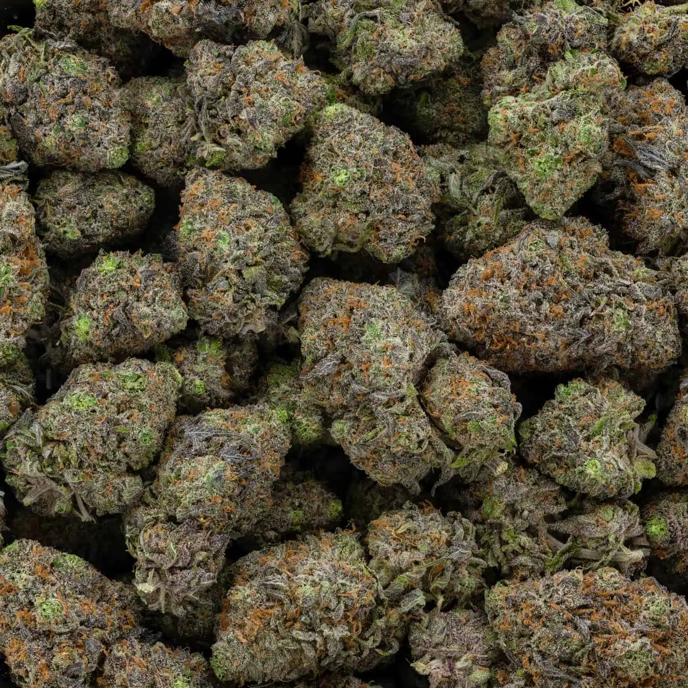 Grapefruit Mimosa  38% THC | Exotic LSO | Sativa - 7g