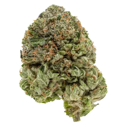 BC Pink Bubba 38% THC | Exotic LSO | Indica