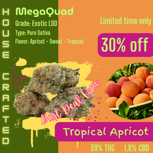 Tropical Apricot | Exotic LSO