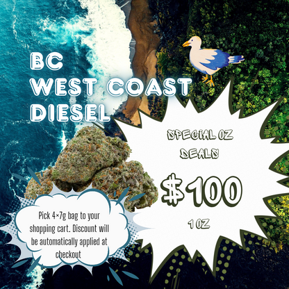 West Coast Diesel 37% THC | Exotic LSO | Sativa - 7g